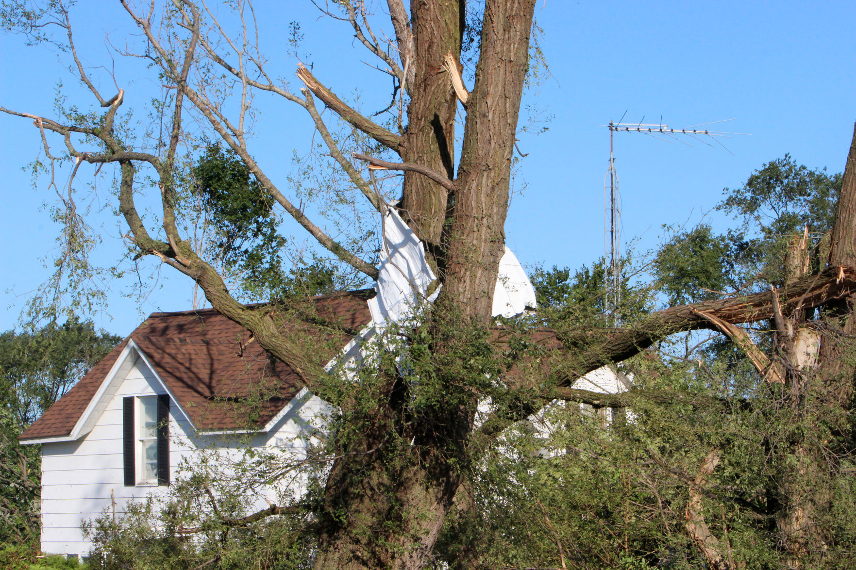 Tornado damage in near Wheaton/Elk Mound 9-25